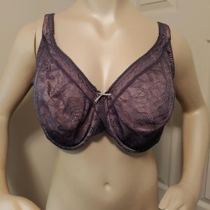 Modern Lace Purple Bra 40H